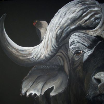 brad the buffalo